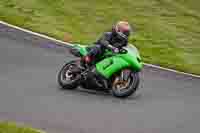 Lower Group Green Bikes